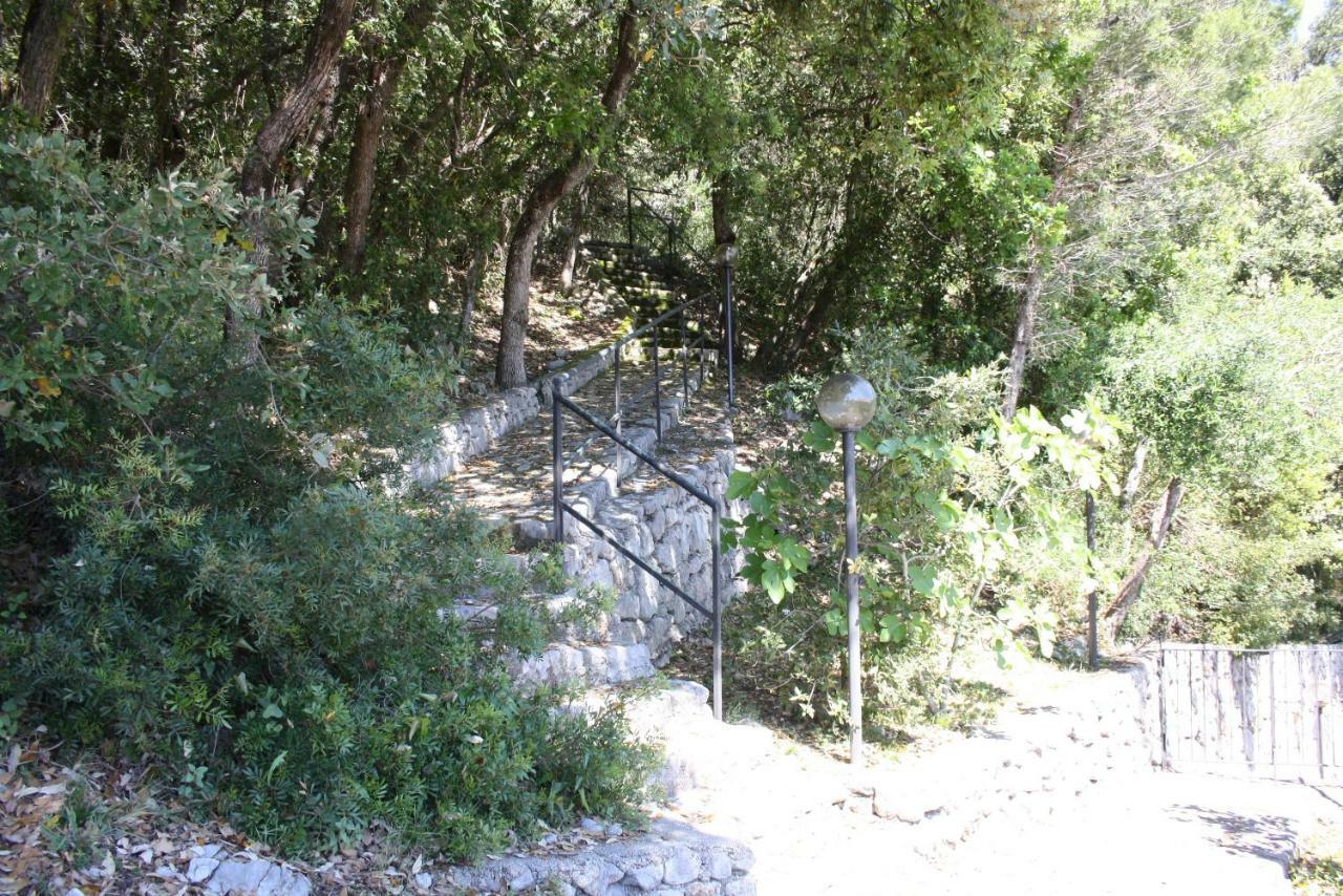 Apartamento Il Casalino Maratea Exterior foto